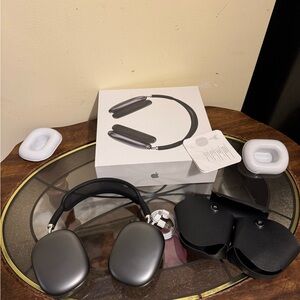 Apple Gray Earbud Headphones